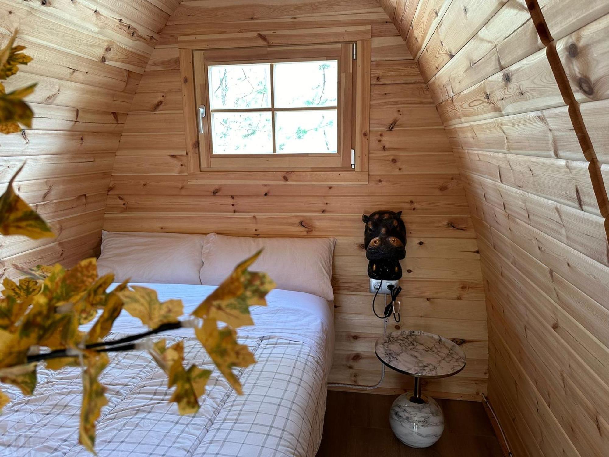 Camping Ripolles Екстериор снимка